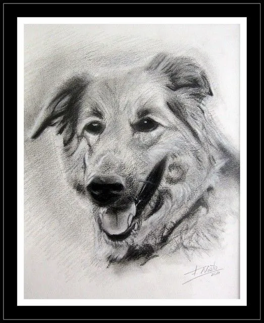 Teka (carboncillo)... Gracias Paco!! :o))!! | Flickr - Photo ...