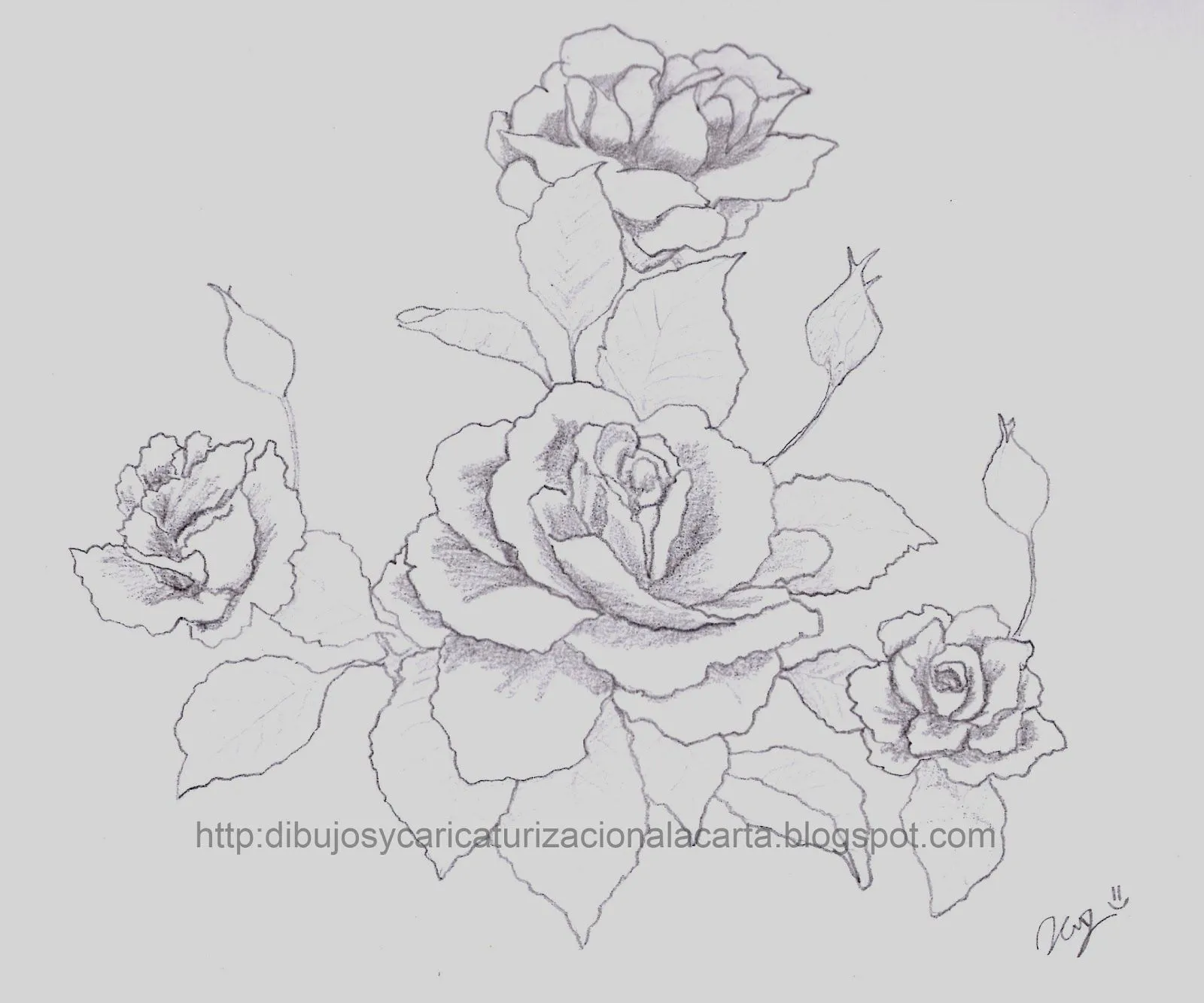 dibujos y caricaturizacion a la carta: Dibujo de rosas a lapiz dibujos y caricaturizacion a la carta: Dibujo de rosas a lapiz