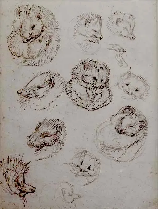 Los dibujos más caros de Beatrix Potter | El Dibujante 2.0
