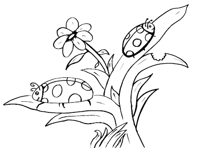 Dibujos de catarinas para colorear - Imagui Dibujos de catarinas para colorear - Imagui