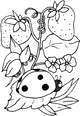 Dibujos de catarinas para colorear - Imagui Dibujos de catarinas para colorear - Imagui
