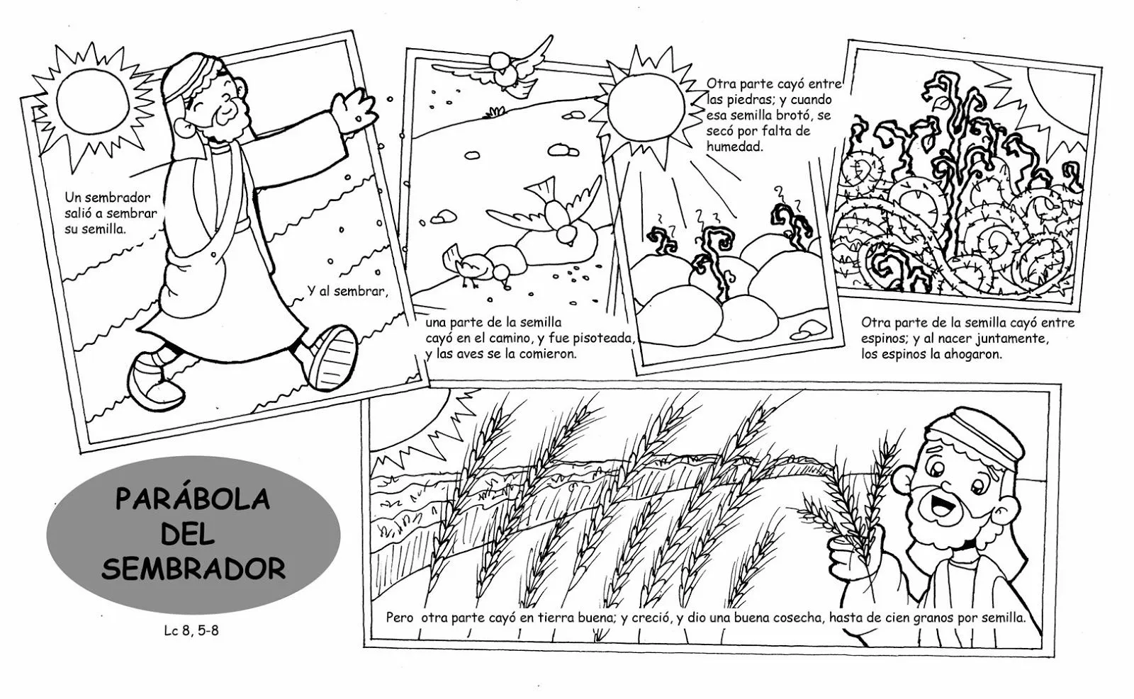 Dibujos para catequesis: PARÁBOLA DEL SEMBRADOR Y EXPLICACIÓN DE LA PARÁBOLA Dibujos para catequesis: PARÁBOLA DEL SEMBRADOR Y EXPLICACIÓN DE LA PARÁBOLA