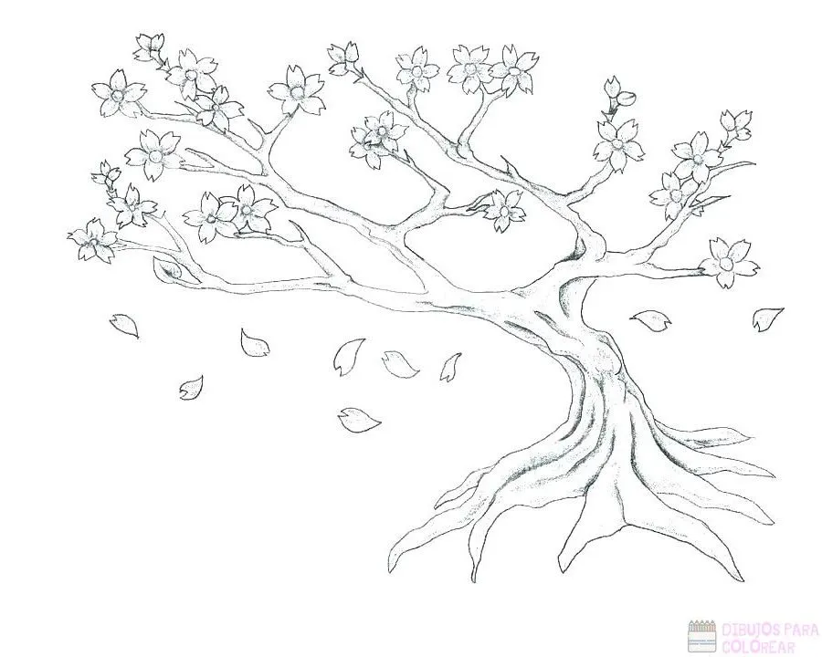 ᐈ Dibujos de cerezos【+1000】Para colorear Hoy – Dibujos para Colorear ᐈ Dibujos de cerezos【+1000】Para colorear Hoy – Dibujos para Colorear