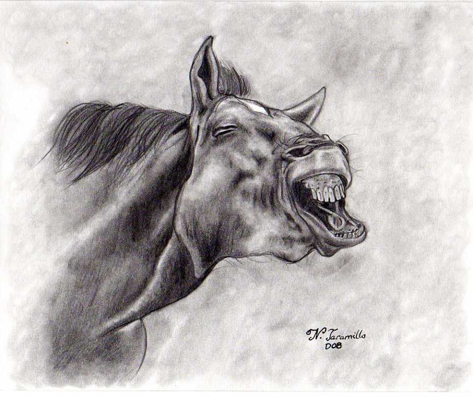 El Blog de Nacho Enseño mis dibujos y obras de arte El Blog de Nacho Enseño mis dibujos y obras de arte