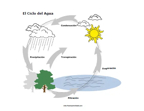 Dibujos del Ciclo del Agua para imprimir ~ Dibujos para Niños Dibujos del Ciclo del Agua para imprimir ~ Dibujos para Niños