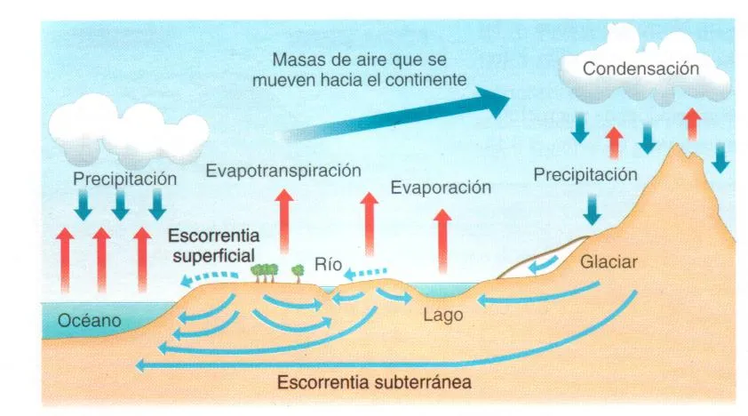 Dibujos del ciclo hidrologico del agua - Imagui Dibujos del ciclo hidrologico del agua - Imagui
