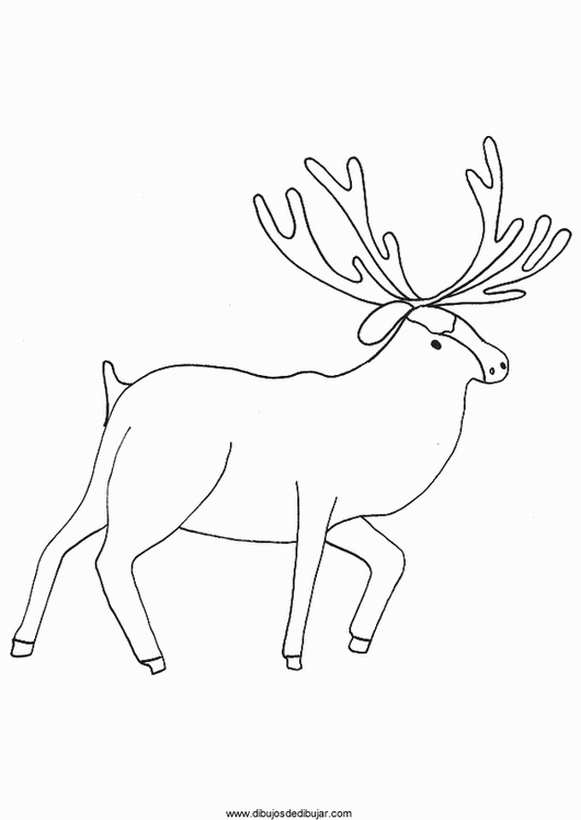 Dibujos de ciervos para colorear e imprimirDibujos de dibujar Dibujos de ciervos para colorear e imprimirDibujos de dibujar