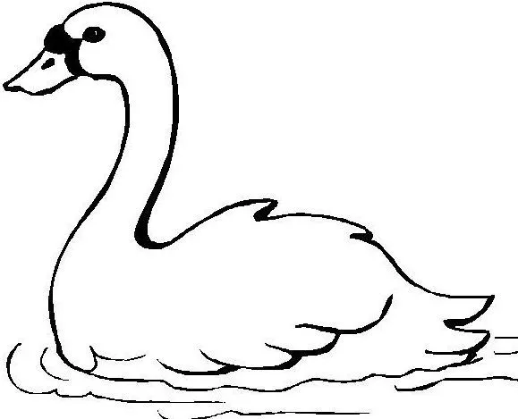 Dibujos De Cisnes Para Colorear Y Pintar Imprimir Dibujos De ... Dibujos De Cisnes Para Colorear Y Pintar Imprimir Dibujos De ...