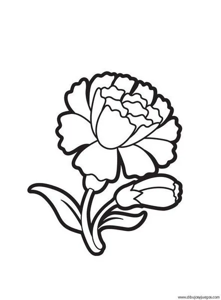 dibujo-flores-claveles-000 | Dibujos y juegos, para pintar y colorear dibujo-flores-claveles-000 | Dibujos y juegos, para pintar y colorear