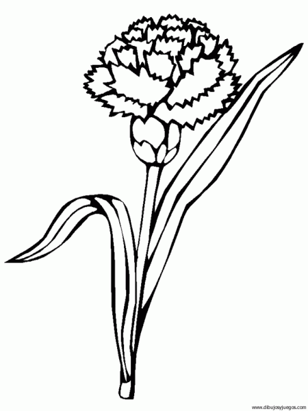 dibujo-flores-claveles-001 | Dibujos y juegos, para pintar y colorear dibujo-flores-claveles-001 | Dibujos y juegos, para pintar y colorear