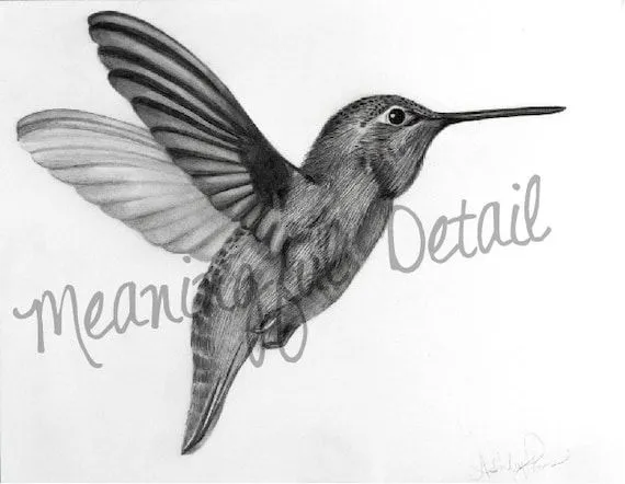 Items similar to Colibrí, Original dibujo a lápiz on Etsy