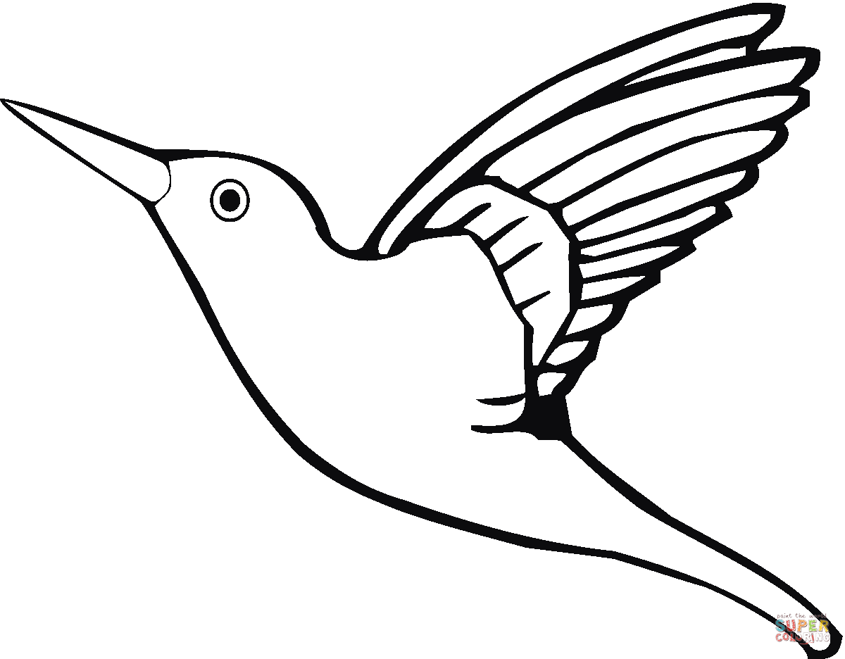 Dibujos de Colibríes para colorear - Páginas para imprimir y ...