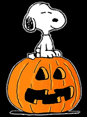 Dibujos a color ♥: Snoopy dibujos a color