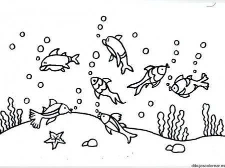 Dibujos de Animales | Dibujos para Colorear