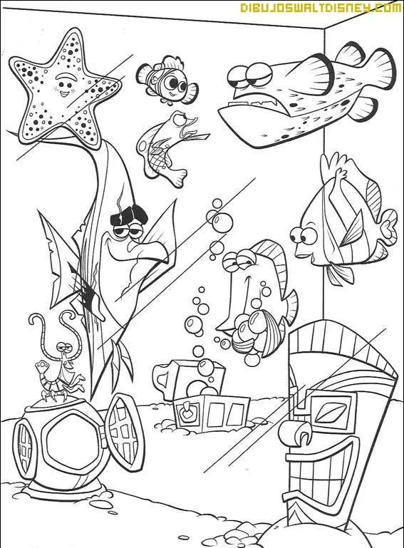Acuario3.jpg