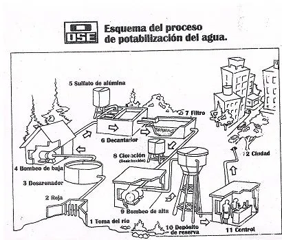 Dibujos para colorear sobre el agua potable - Imagui