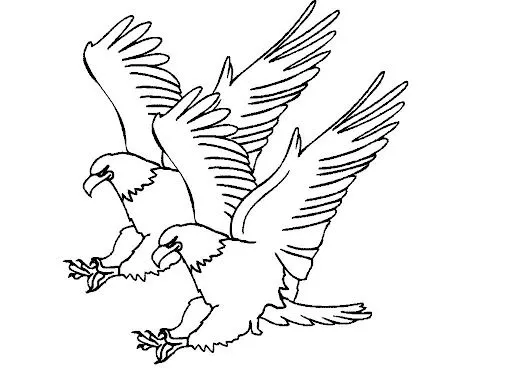Dibujos para colorear de aguilas volando - Imagui Dibujos para colorear de aguilas volando - Imagui