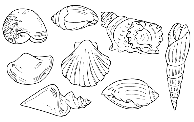 Dibuixos per pintar