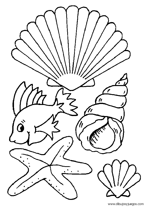 dibujos-de-animales-marinos-007 | Dibujos y juegos, para pintar y ... dibujos-de-animales-marinos-007 | Dibujos y juegos, para pintar y ...