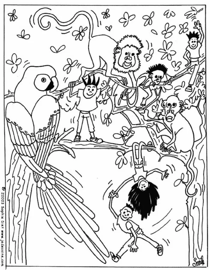 Dibujos ANIMALES SALVAJES para colorear, animales salvajes para ...
