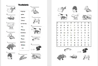 Modelos didácticos para primaria: Animales vertebrados e ... Modelos didácticos para primaria: Animales vertebrados e ...