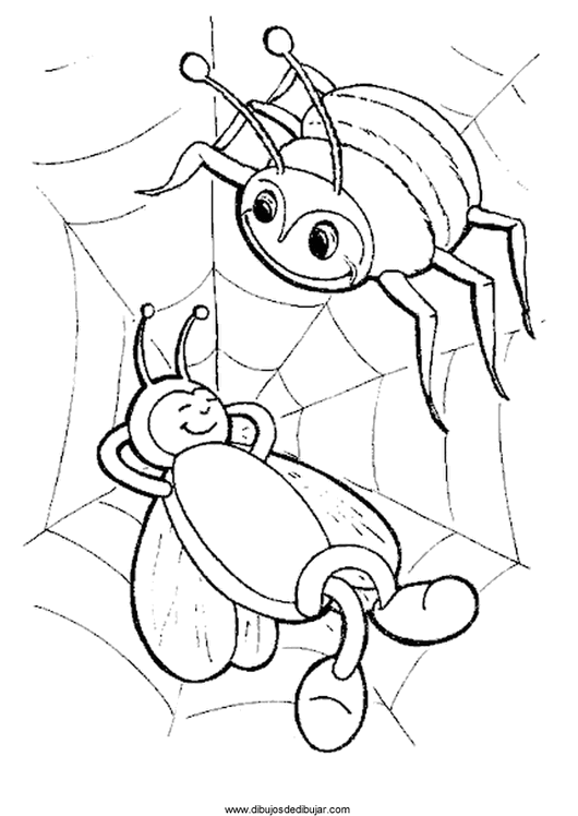 pintar arañas para niños Archives | Dibujos de dibujarDibujos de ...