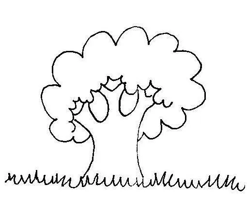 Dibujo de un arbol con todas sus partes - Imagui Dibujo de un arbol con todas sus partes - Imagui