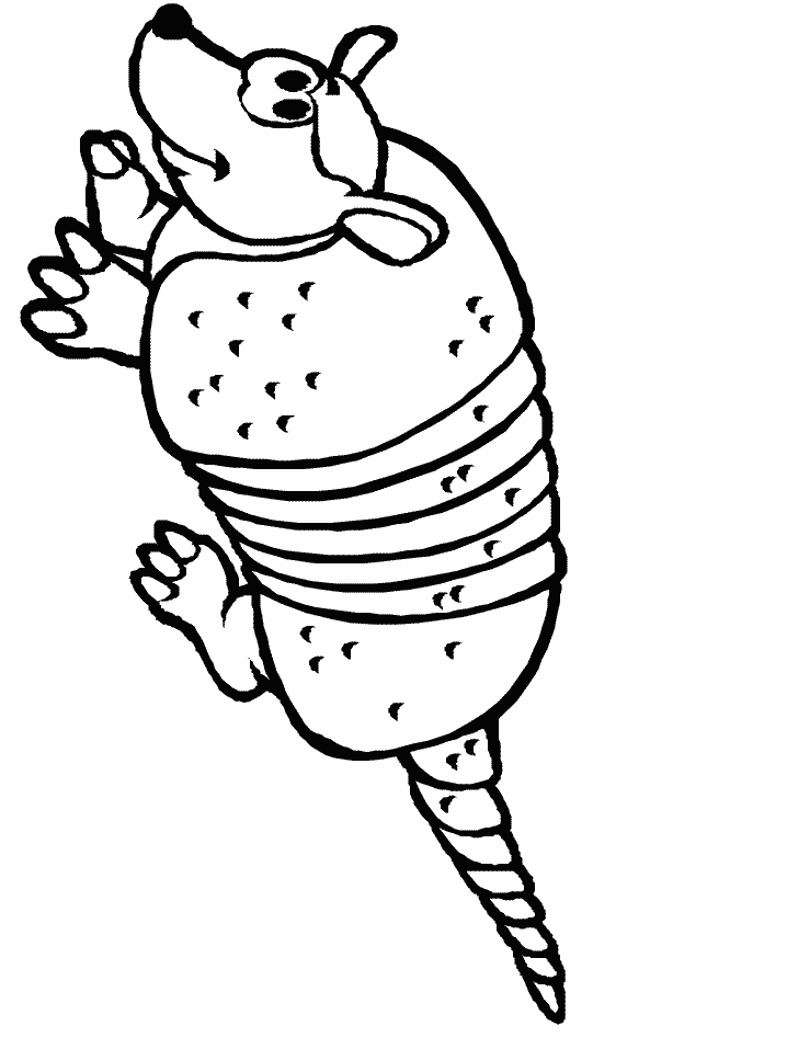 Dibujos para colorear de Armadillos, Plantillas para colorear de ... Dibujos para colorear de Armadillos, Plantillas para colorear de ...