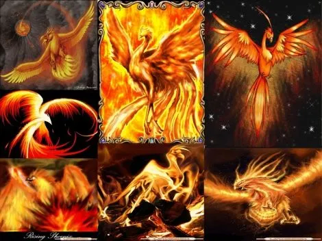 Dibujos para colorear del ave fenix - Imagui