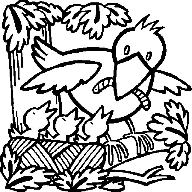 Dibujos para colorear de Aves, Plantillas para colorear de Aves Dibujos para colorear de Aves, Plantillas para colorear de Aves
