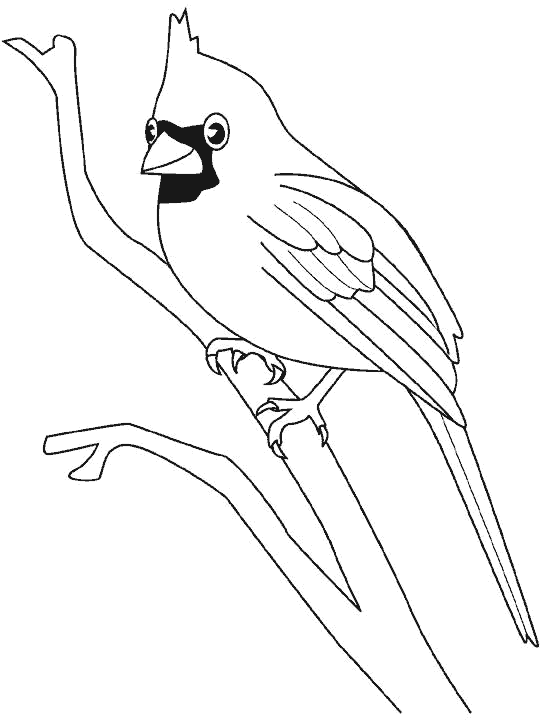 Dibujos para colorear de Aves, Plantillas para colorear de Aves Dibujos para colorear de Aves, Plantillas para colorear de Aves