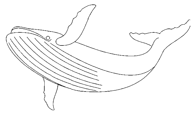 Dibujos para colorear de Ballenas, Plantillas para colorear de ...