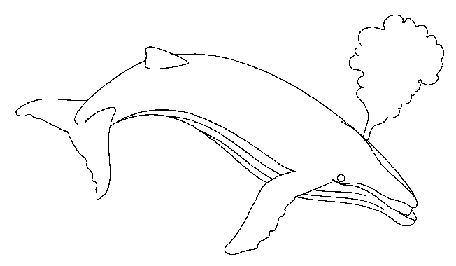 Dibujos para colorear de Ballenas, Plantillas para colorear de ... Dibujos para colorear de Ballenas, Plantillas para colorear de ...