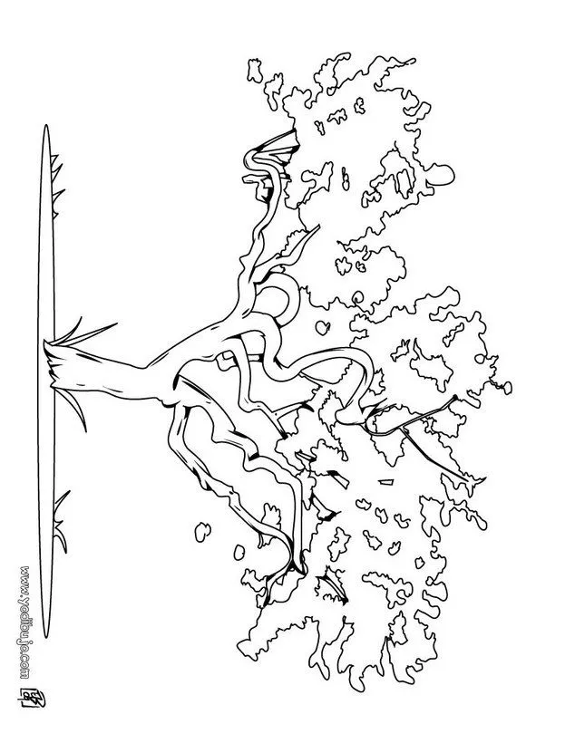 Dibujo para colorear de cereipo - Imagui