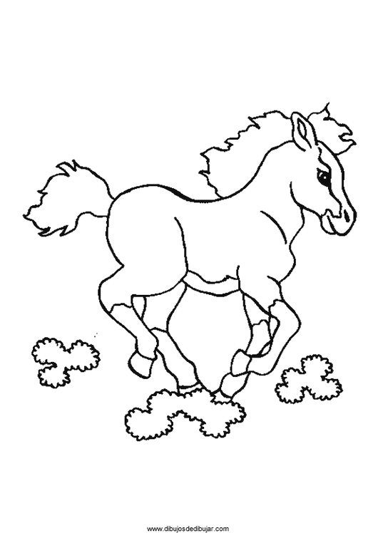 Dibujos para colorear de caballos (4 de 5)Dibujos de dibujar Dibujos para colorear de caballos (4 de 5)Dibujos de dibujar