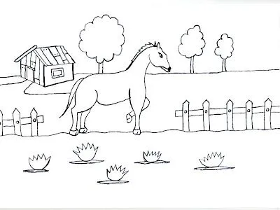 DIBUJOS PARA COLOREAR DE CABALLOS: DIBUJO PARA COLOREAR DE UN ...