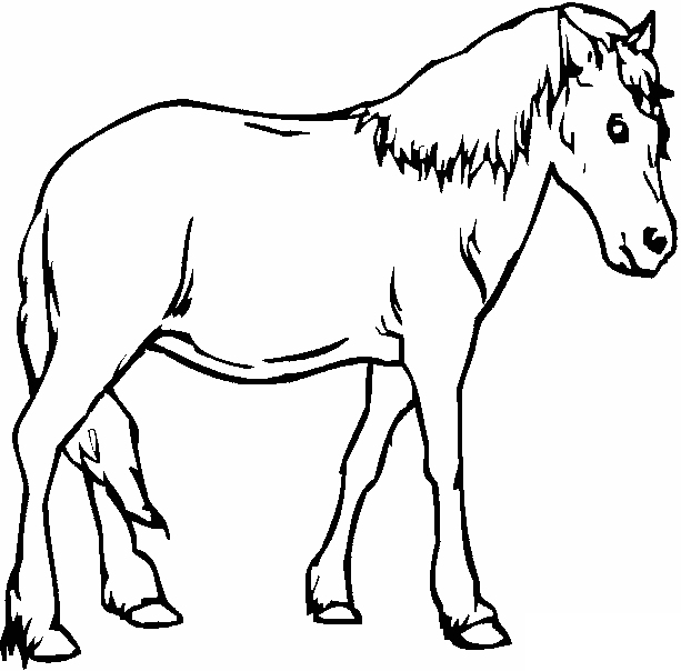 Dibujos para colorear de Caballos, Plantillas para colorear de ... Dibujos para colorear de Caballos, Plantillas para colorear de ...