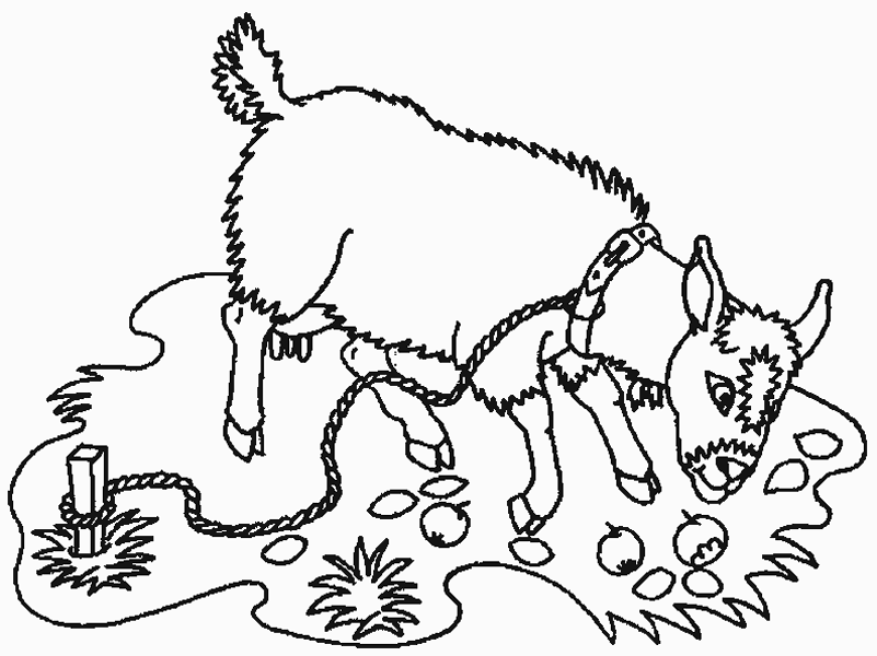 Dibujos para colorear de Cabras, Plantillas para colorear de Cabras