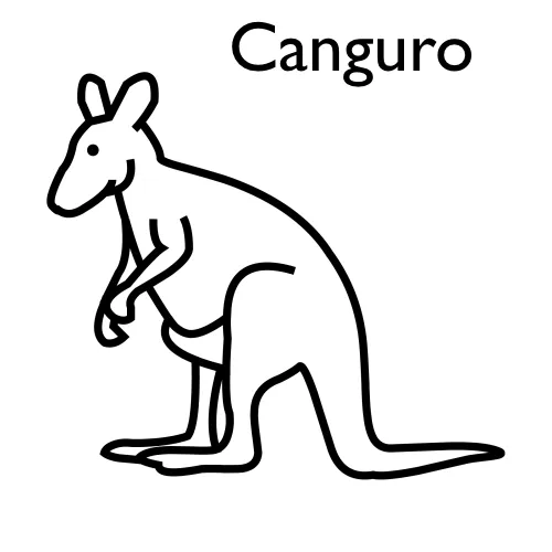 Como se dibuja el canguro - Imagui