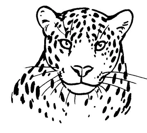 Leopardo para colorear e imprimir - Imagui