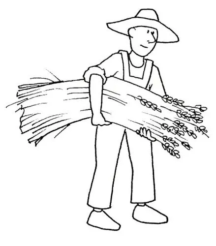 Dibujos para colorear ciclo del pan | Jugar y colorear Dibujos para colorear ciclo del pan | Jugar y colorear