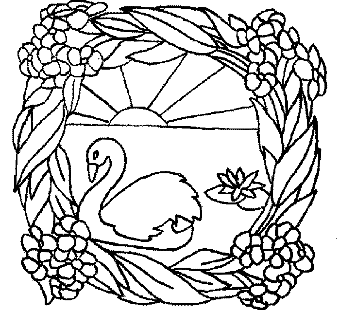 Dibujos para colorear de Cisnes, Plantillas para colorear de Cisnes