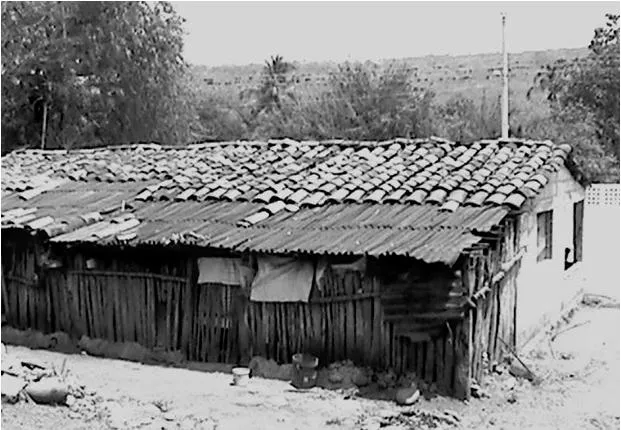 Facultad de Antropología