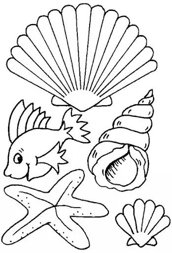 DIBUJOS PARA COLOREAR CONCHAS MARINAS | Dibujos para colorear DIBUJOS PARA COLOREAR CONCHAS MARINAS | Dibujos para colorear
