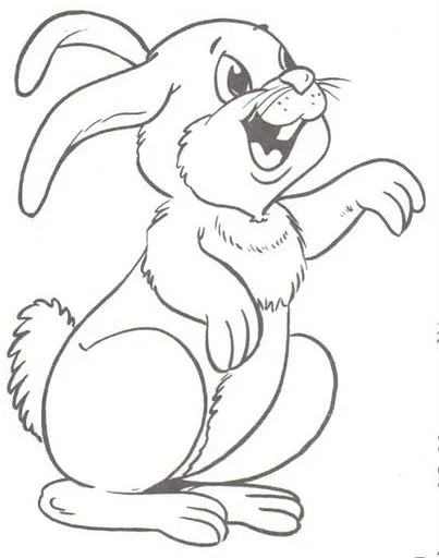 Dibujos para colorear: Dibujos para colorear - Conejo Dibujos para colorear: Dibujos para colorear - Conejo