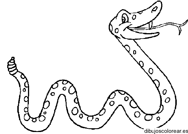 Dibujo de una serpiente sonriente | Dibujos para Colorear Dibujo de una serpiente sonriente | Dibujos para Colorear