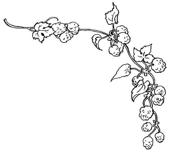Dibujos para colorear de Decoracion, Plantillas para colorear de ... Dibujos para colorear de Decoracion, Plantillas para colorear de ...