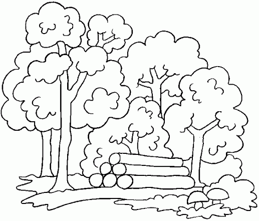 VER IMAGENES PARA COLOREAR SOBRE LA DEFORESTACION - Imagui VER IMAGENES PARA COLOREAR SOBRE LA DEFORESTACION - Imagui