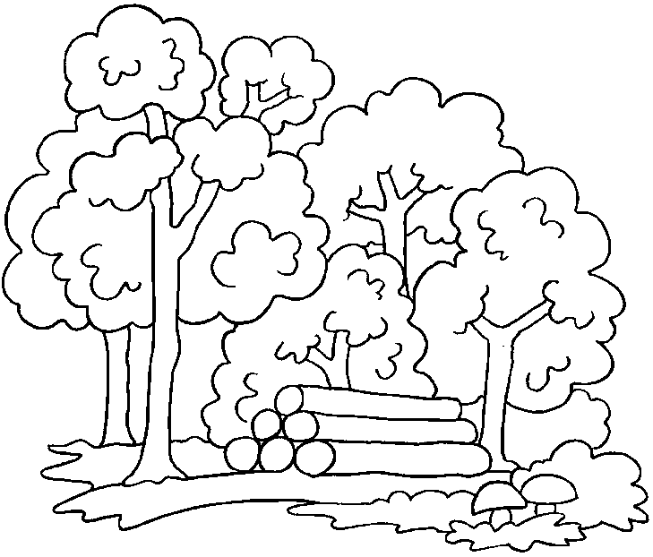 Dibujos para colorear de deforestacion - Imagui