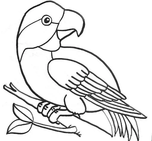 Dibujos para colorear deguacamayas - Imagui